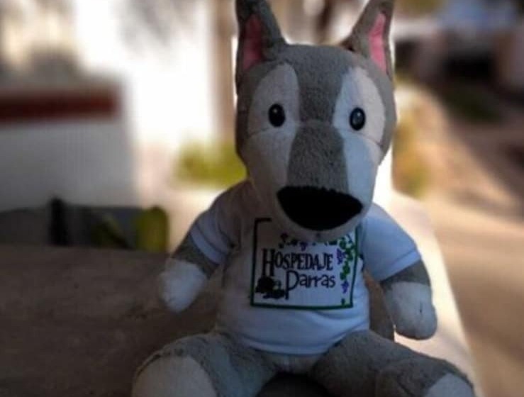 ホテル Hospedaje Parras