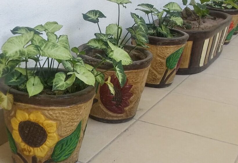 ホテル Hospedaje Parras