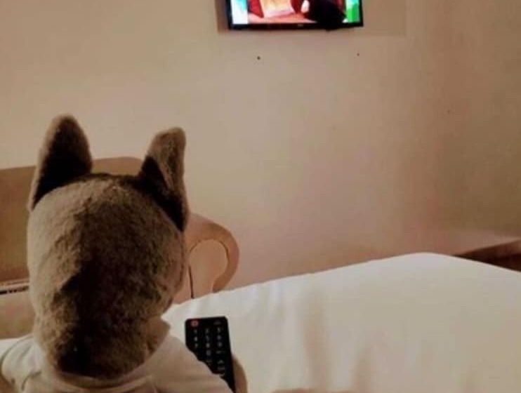 ホテル Hospedaje Parras