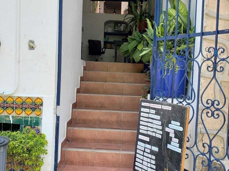 هتل & Hostal Mayflower