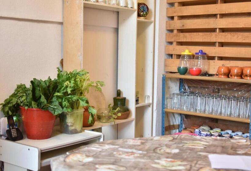 בית מלון כפרי Hostal Quinto Sol Huamantla