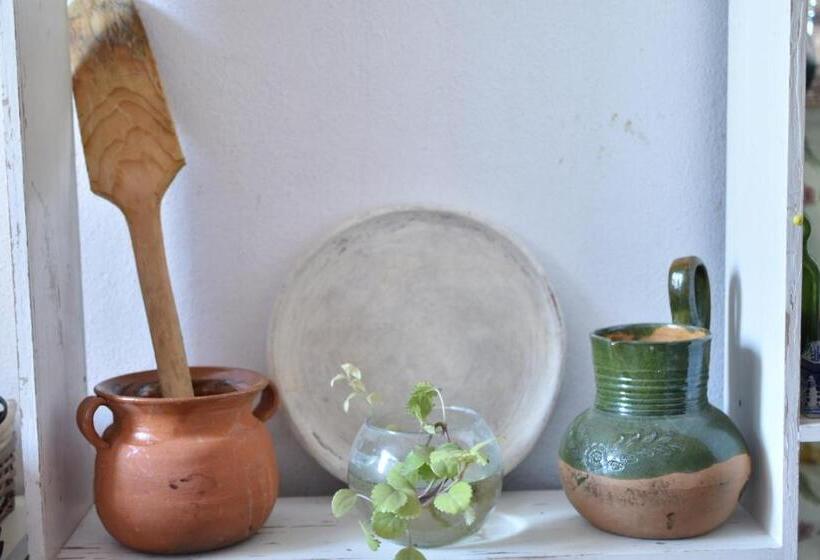 בית מלון כפרי Hostal Quinto Sol Huamantla