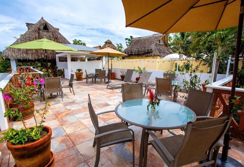 בית מלון כפרי Ito Los Sueños