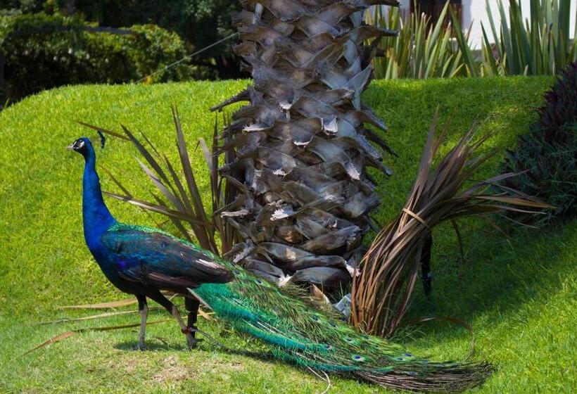 ホテル Jardín Cerritos Xochitepec