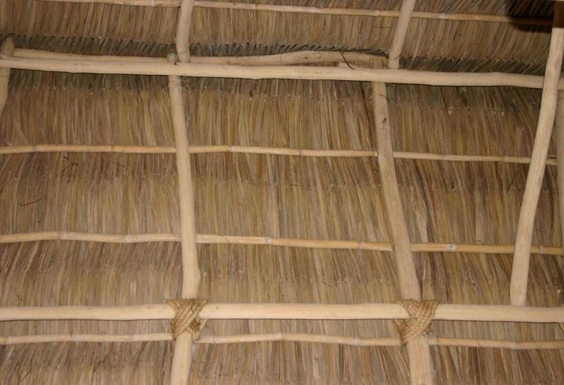 酒店 Junto Al Rio Bungalows & Suites