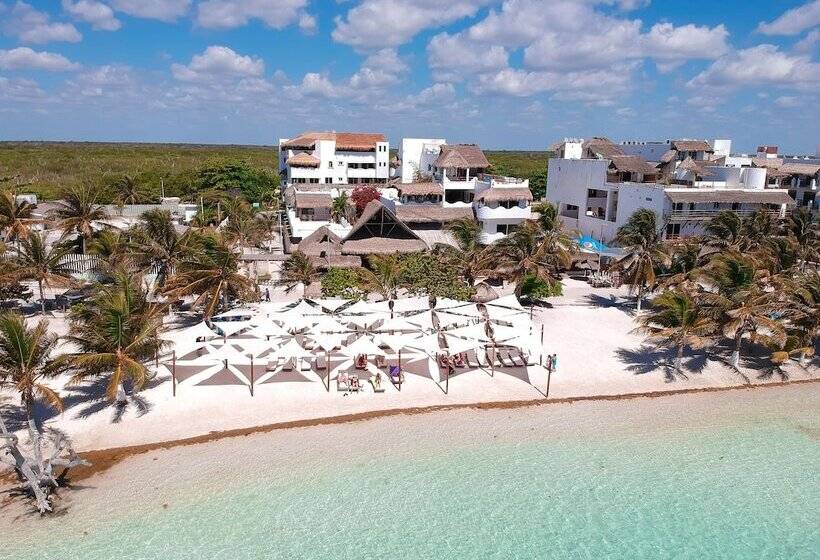 בית מלון כפרי 40 Cañones