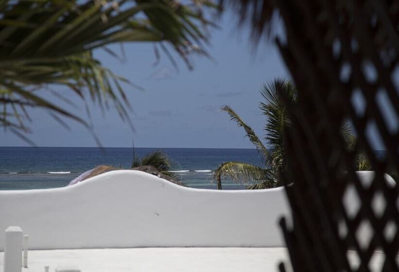 בית מלון כפרי 40 Cañones