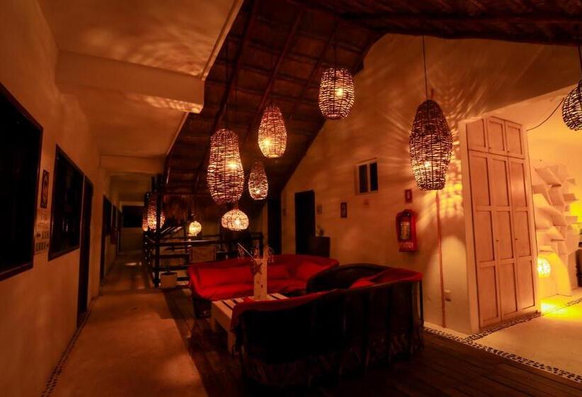 Отель 40 Cañones