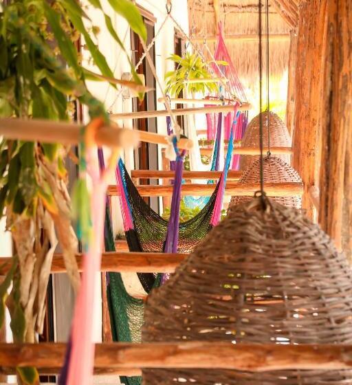 בית מלון כפרי 40 Cañones