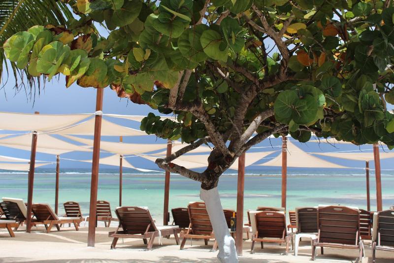 Отель 40 Cañones