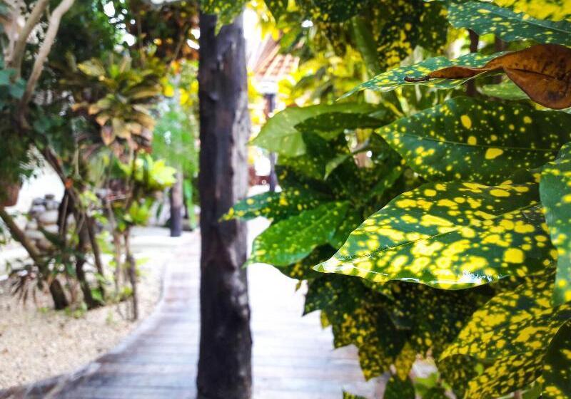 Отель 40 Cañones