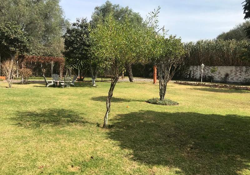 فندق La Esperanza