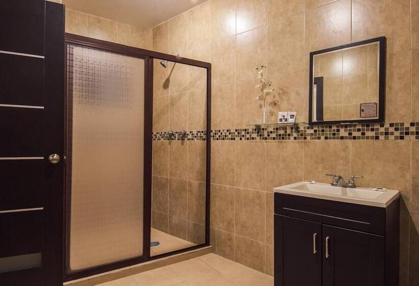 Отель Majova Inn Xalapa