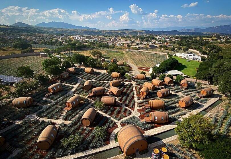 Matices Hotel De Barricas