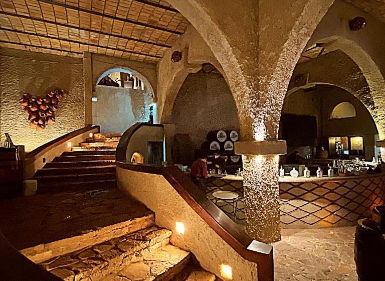 Matices Hotel De Barricas