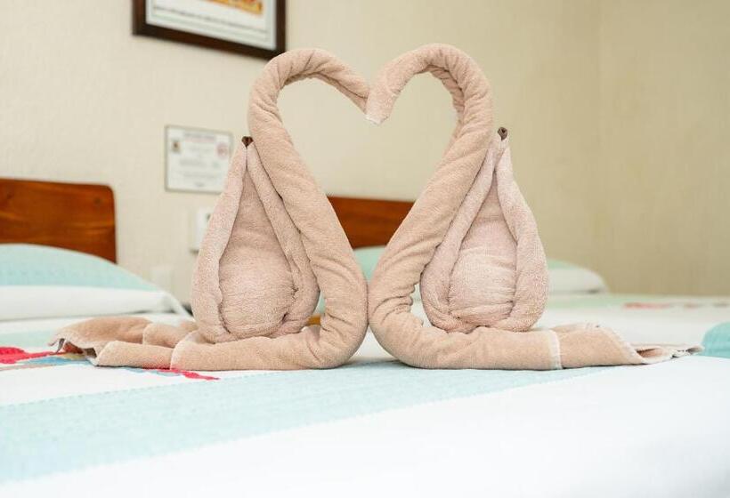 ホテル Museo Xibalba