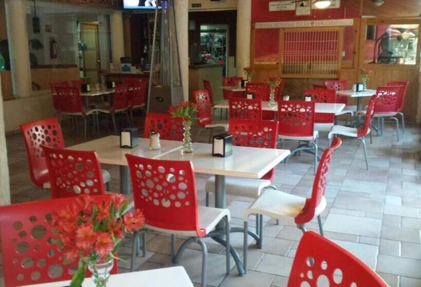 هتل Palapa Palace