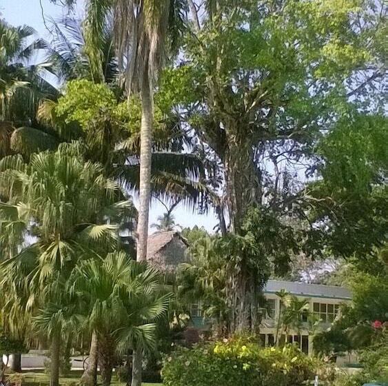 Отель Playa Azul