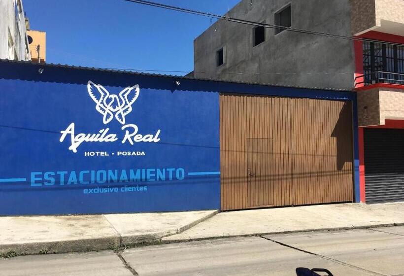 בית מלון כפרי Posada Aguila Real