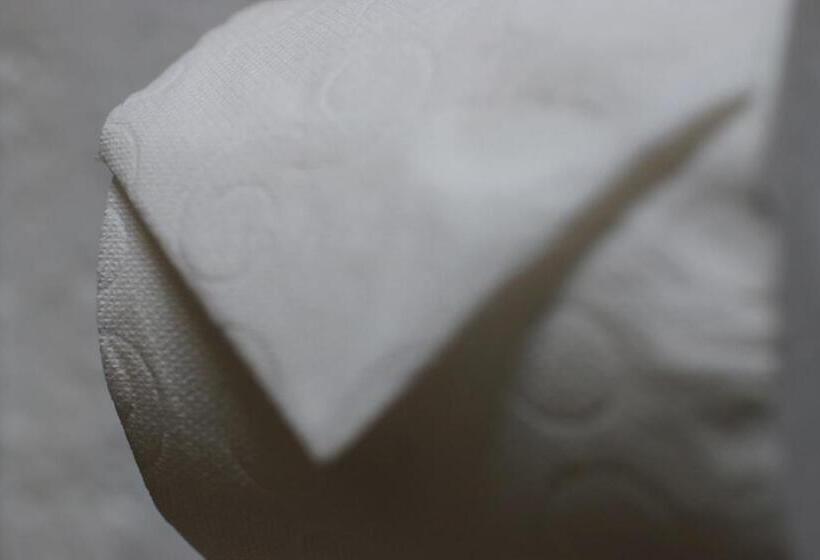 酒店 Posada La Presa