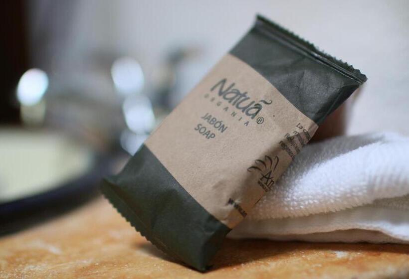 酒店 Posada La Presa