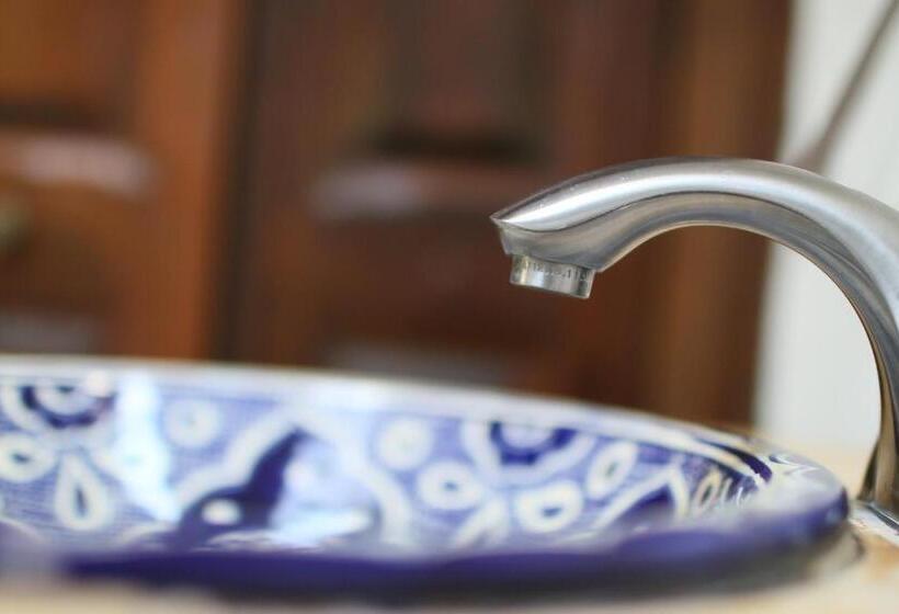 酒店 Posada La Presa