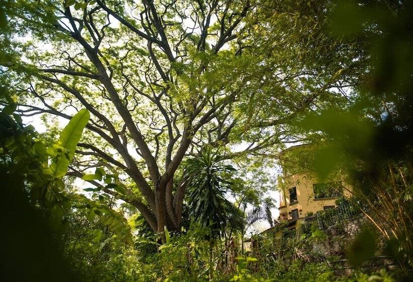 ホテル Rancho La Joya