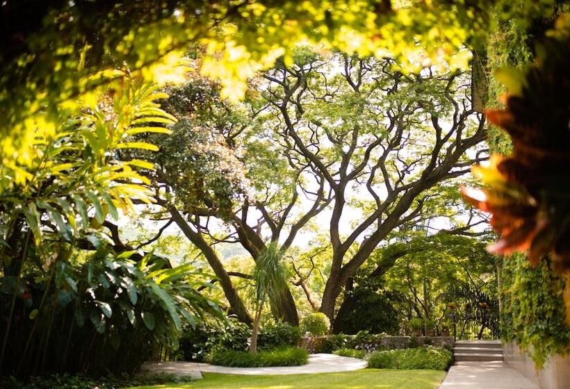 ホテル Rancho La Joya