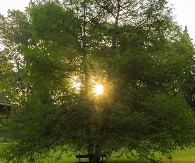 فندق Rancho San Cayetano