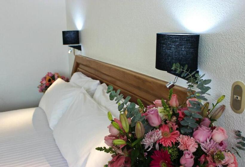 فندق San Juan Park