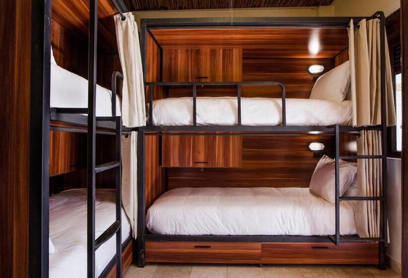 בית מלון כפרי Selina Sayulita