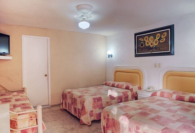 فندق Suites Ejecutivas