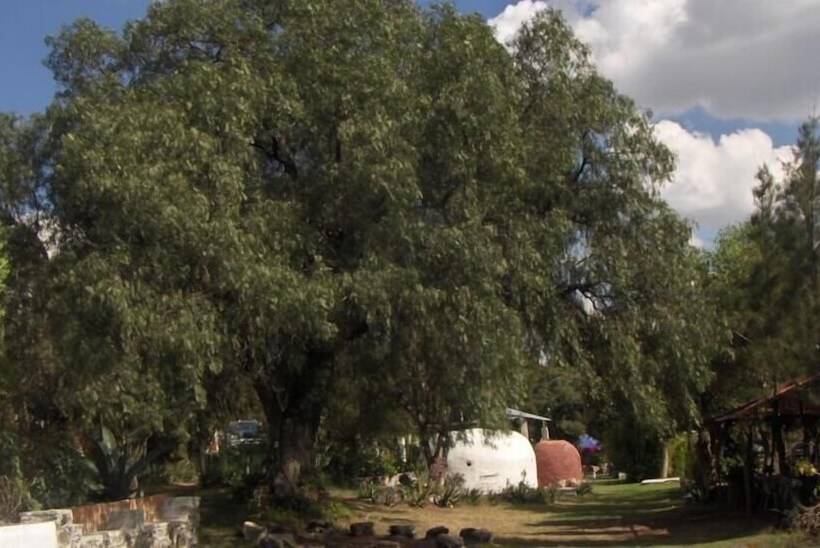 فندق Temazcal Tepeyolohtli