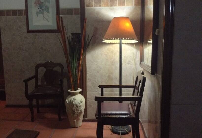 酒店 Terranova Tampico