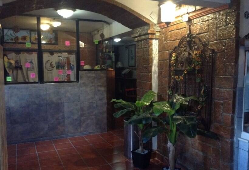 酒店 Terranova Tampico