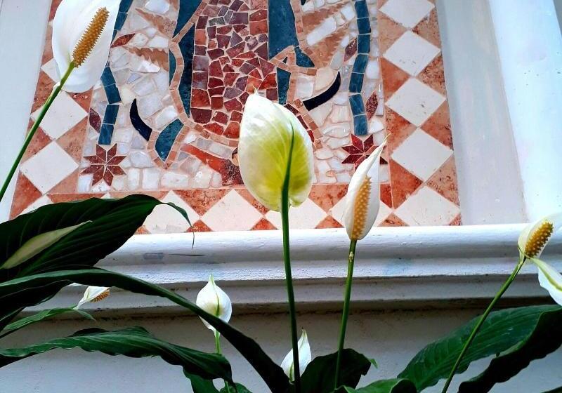 Отель Tuparenda