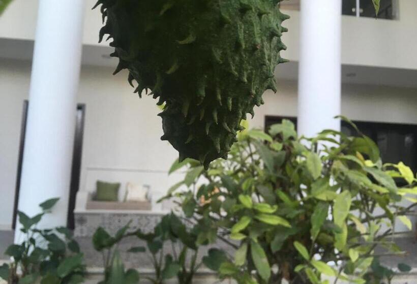 Отель Tuparenda