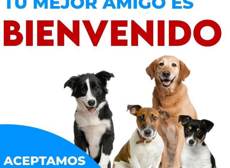 酒店 Uke Inn Terán