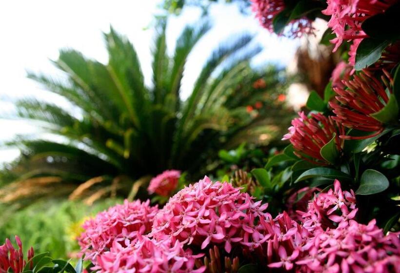 هتل Villa Escondida