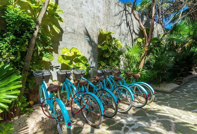 فندق Villa Pescadores Tulum