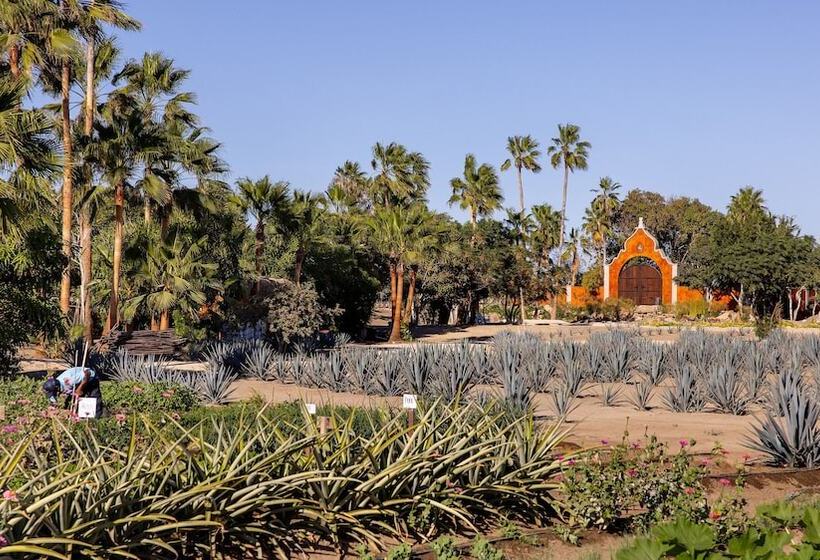 هتل Villa Santa Cruz