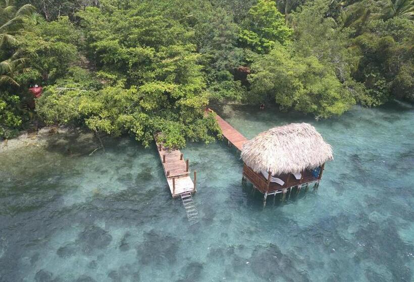 酒店 Villas Ecotucan