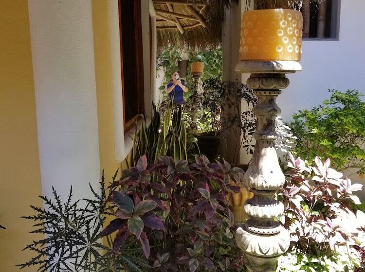 בית מלון כפרי Vogue