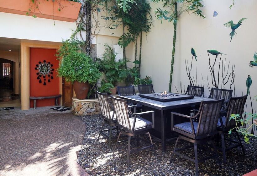 בית מלון כפרי Vogue