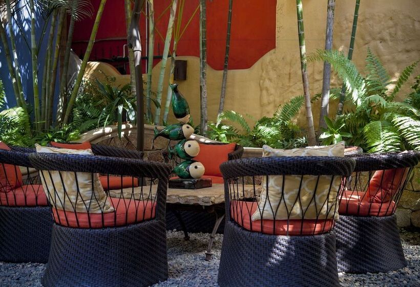 בית מלון כפרי Vogue