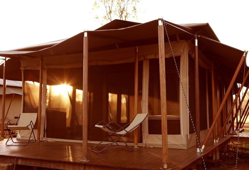 בית מלון כפרי Wildman Wilderness Lodge