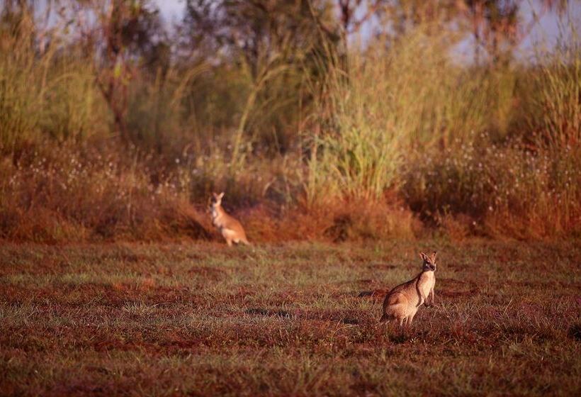 هتل Wildman Wilderness Lodge