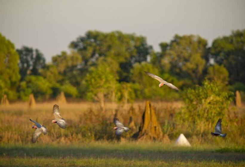 בית מלון כפרי Wildman Wilderness Lodge