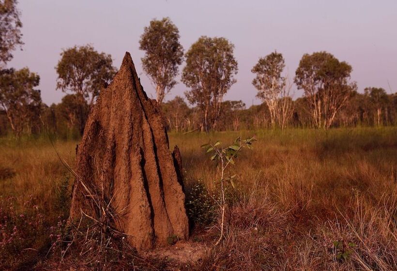 בית מלון כפרי Wildman Wilderness Lodge