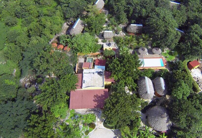 The Pickled Onion Eco Boutique B&b